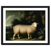 Sheep Classical Oil Painting