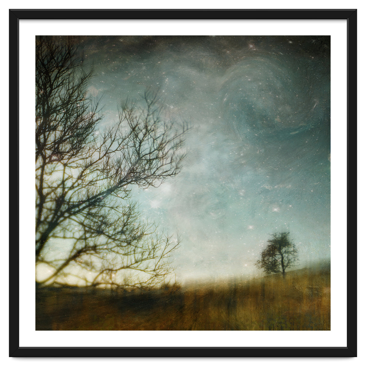 The Tree That Whispered