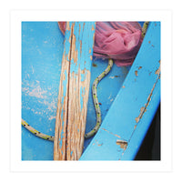 Weathered boat, sail and oar (Print Only)