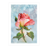 Beautiful Rose Watercolor (Print Only)