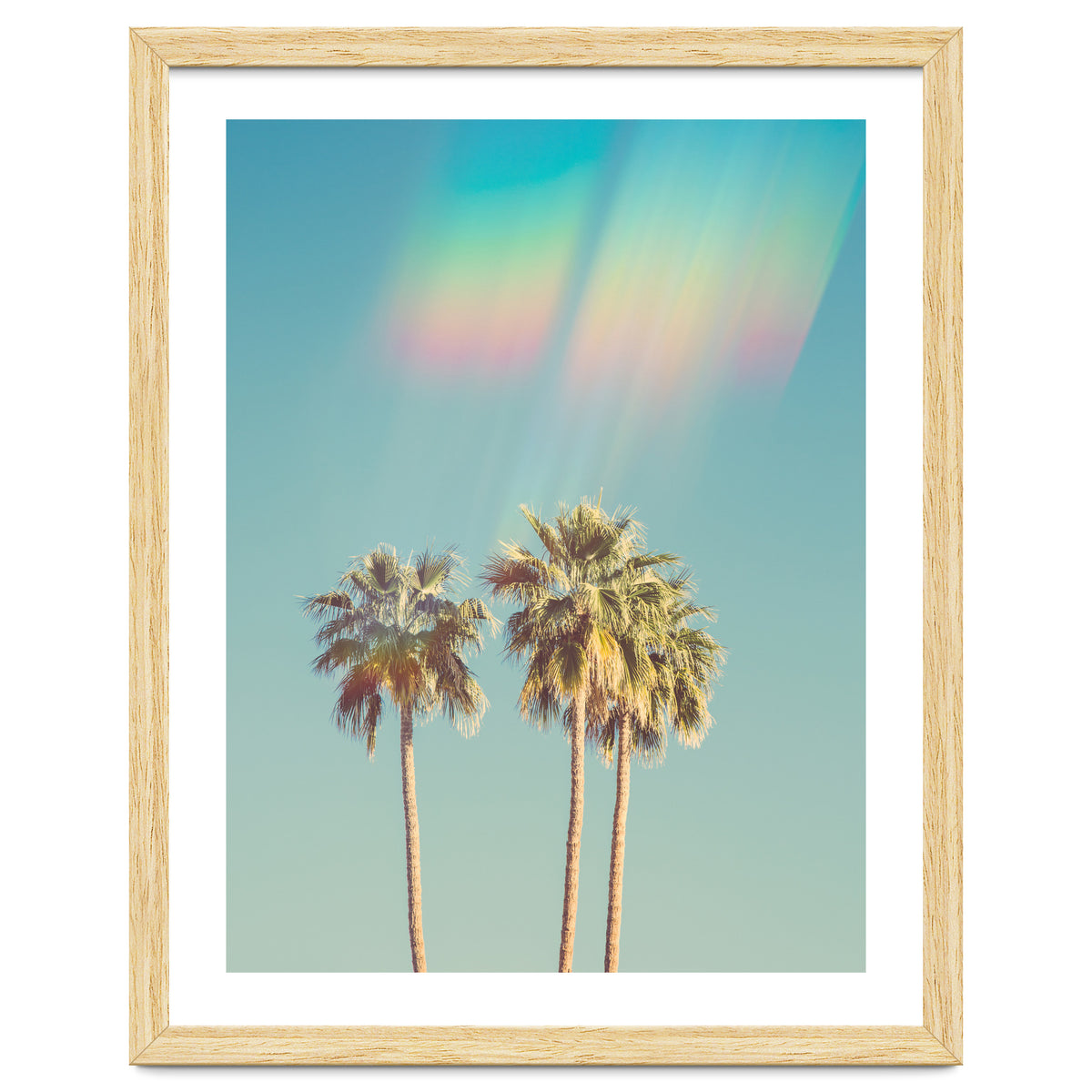 Groovy California Palm Trees