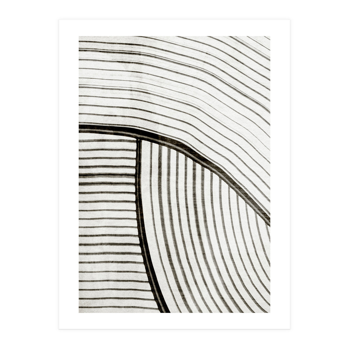 Frequencia4  (Print Only)