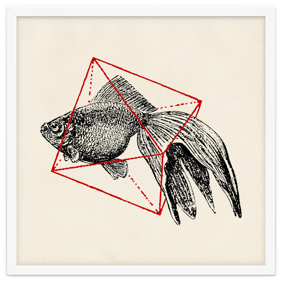 Fish In Geometrics III (Square)