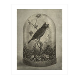 The Curiosity (Print Only) thumbnail
