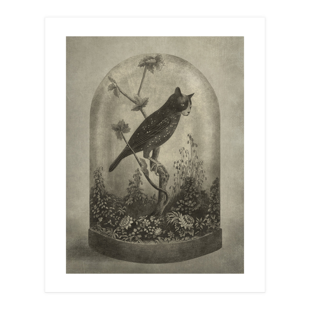 The Curiosity (Print Only)