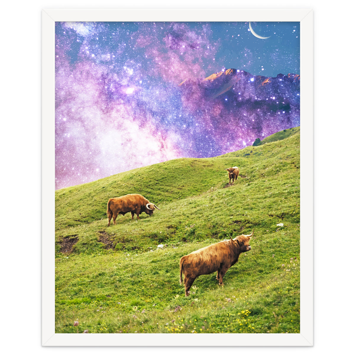 Space Cow Series II
