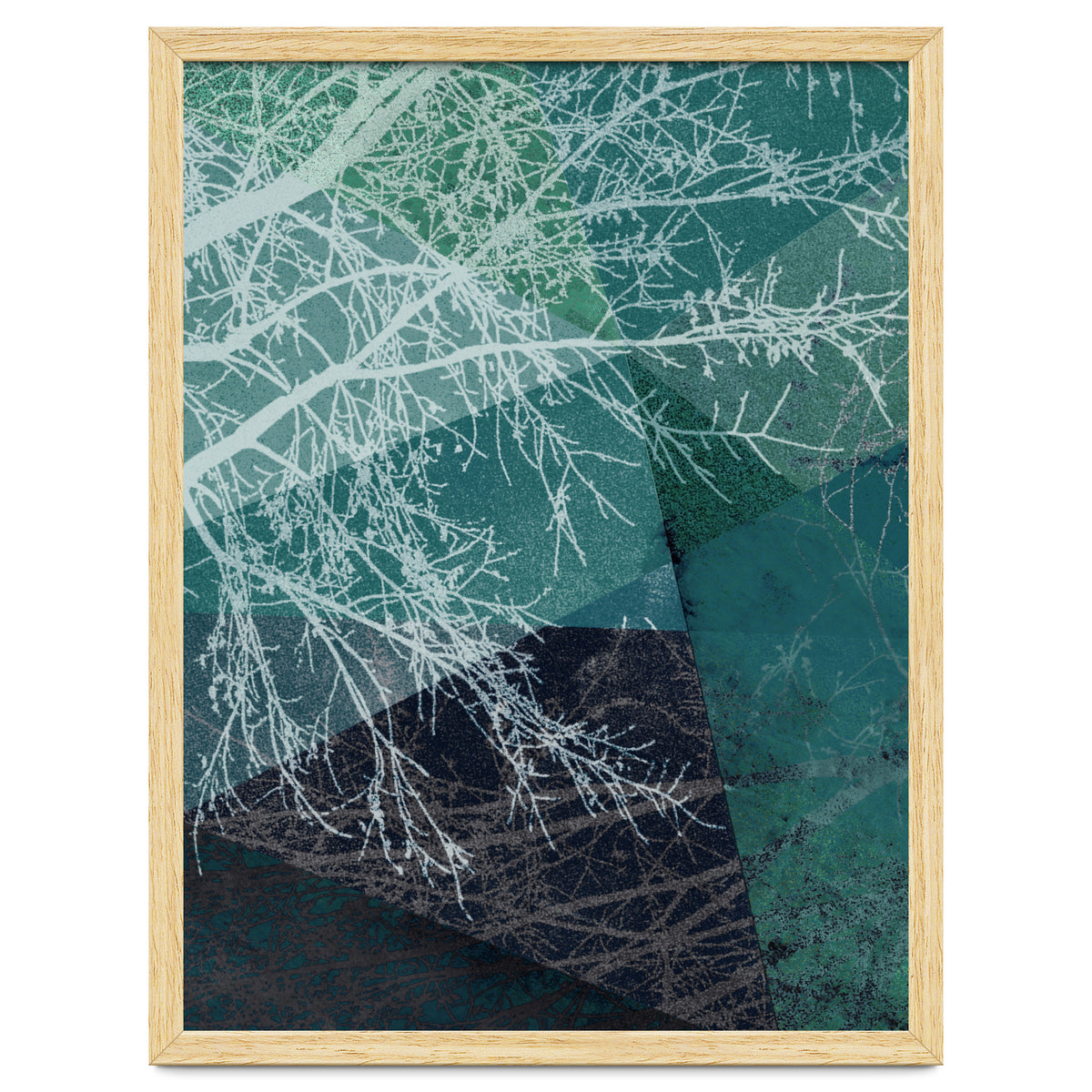 P19 E1 Trees And Triangles