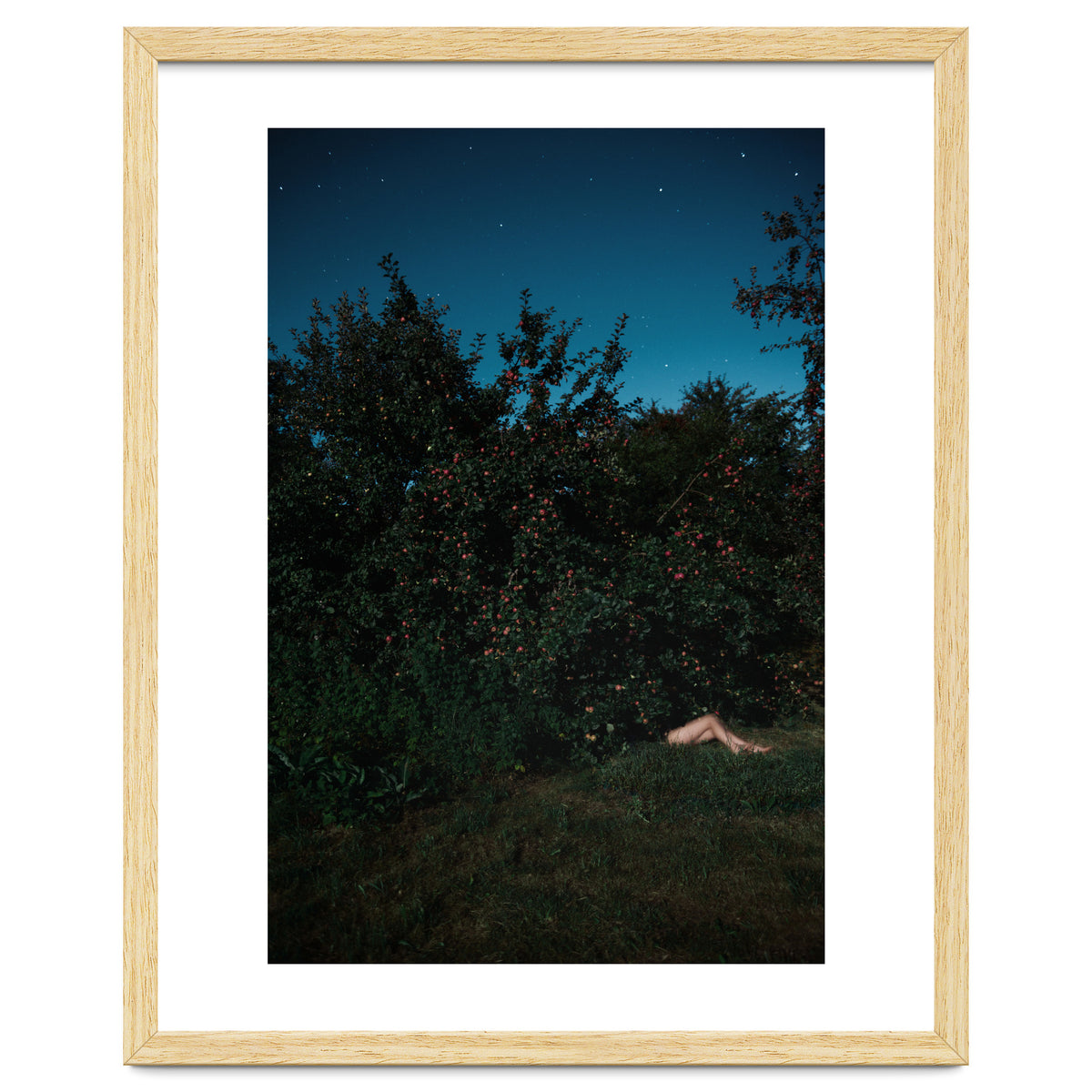 The Cider House Legs