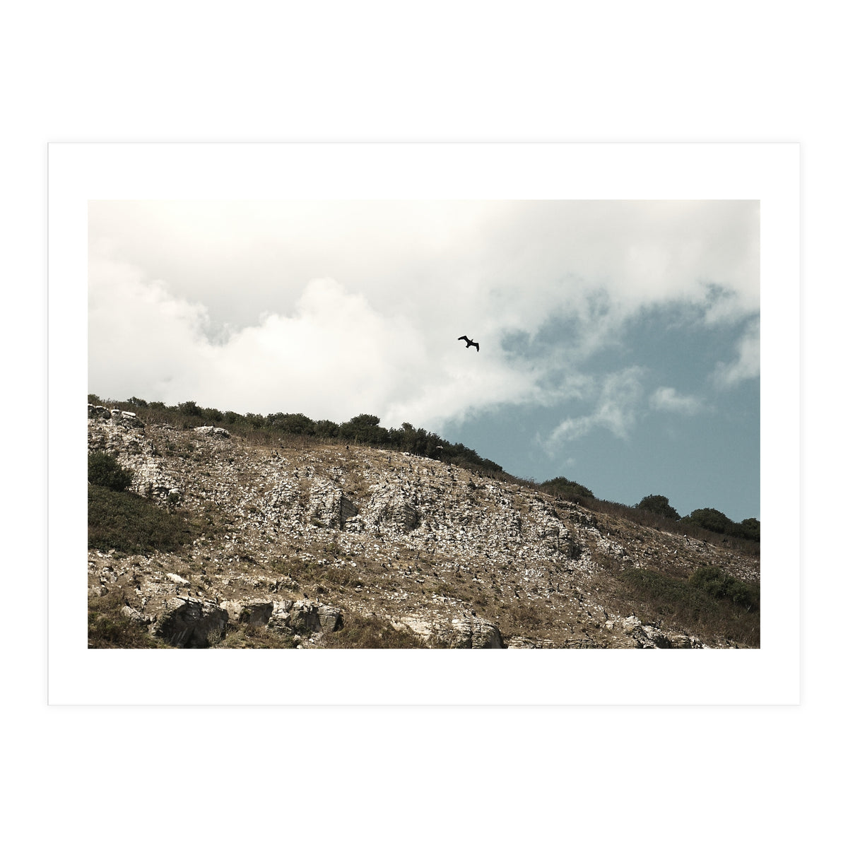 Soar High (Print Only)