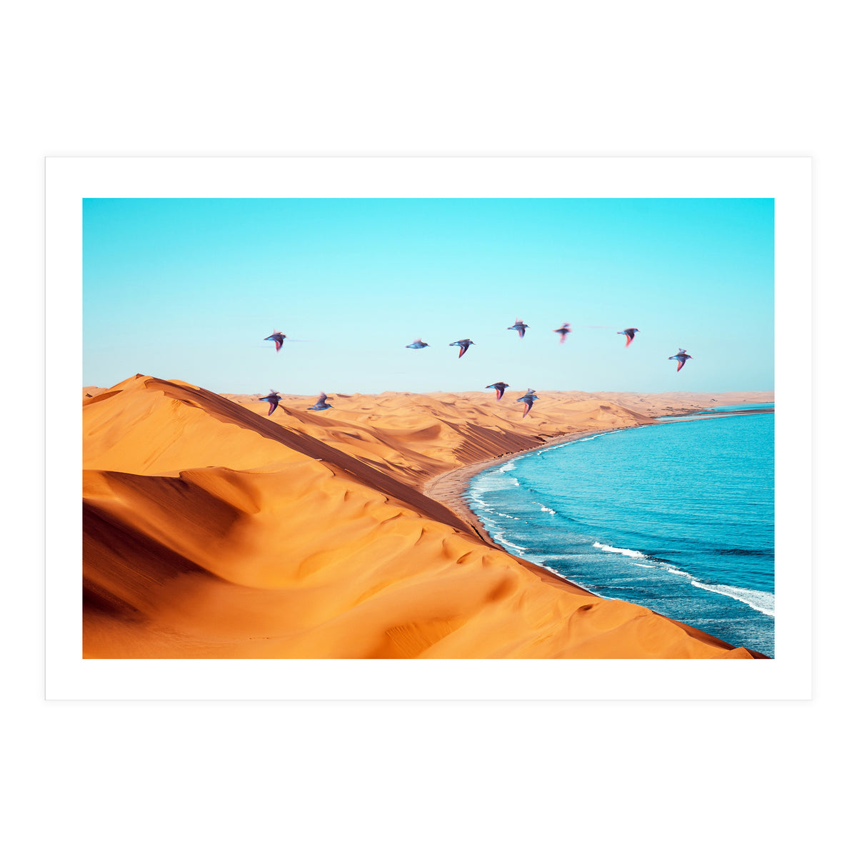 Desert Birds (Print Only)