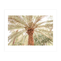 Tropical Palm Tree (Print Only)