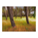 Amongst The Trees (Print Only) thumbnail