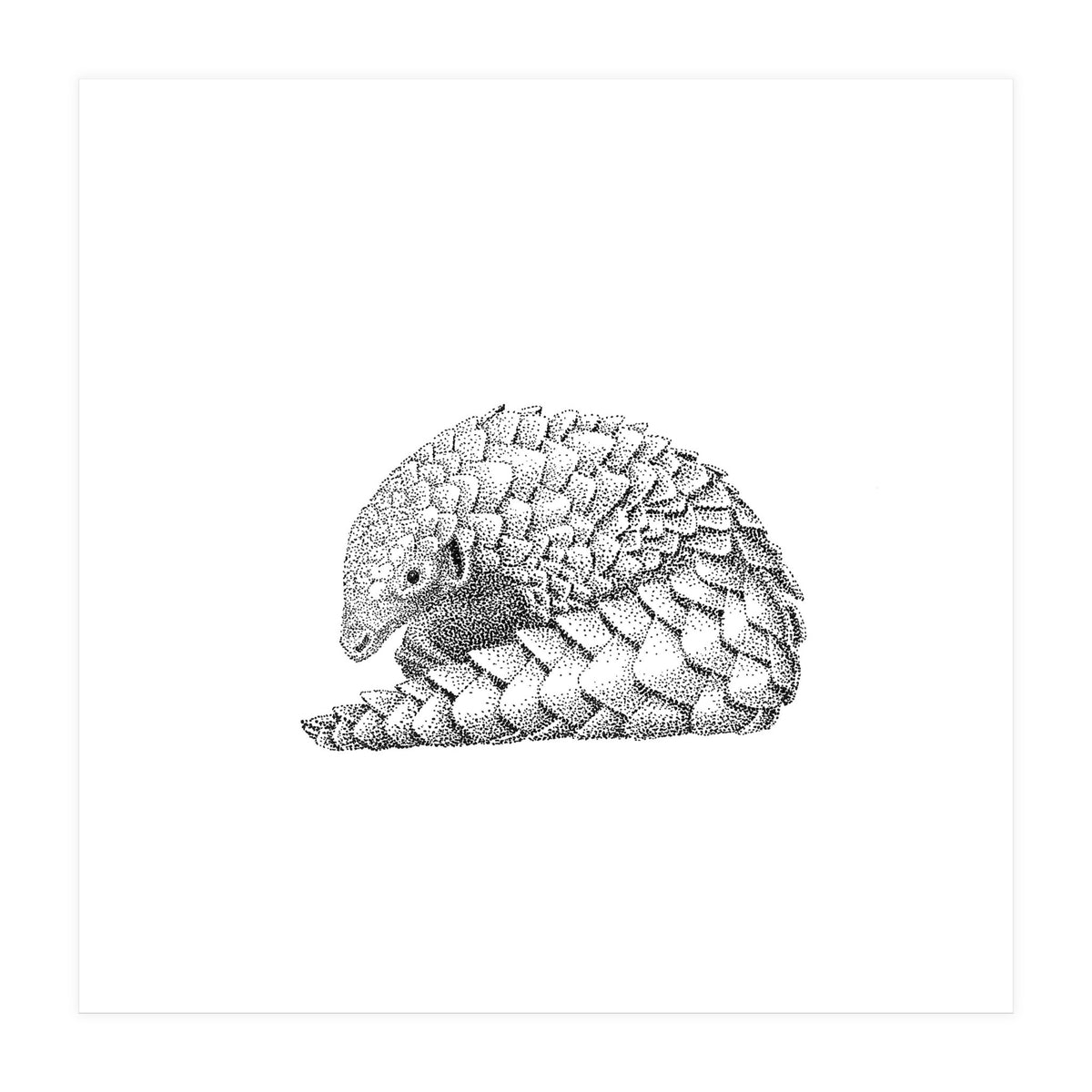 Pangolin (Print Only)