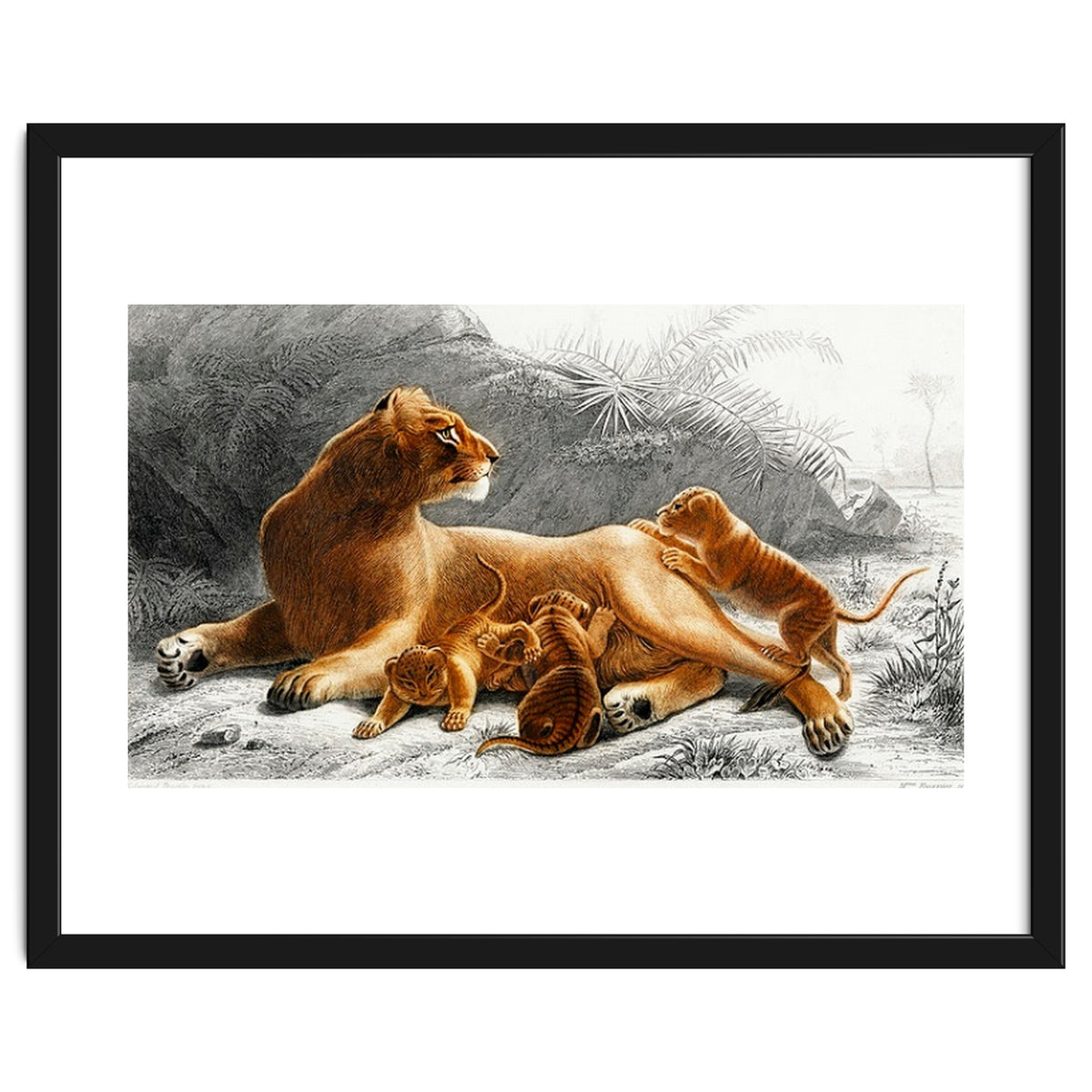 Fails Leo illustrated