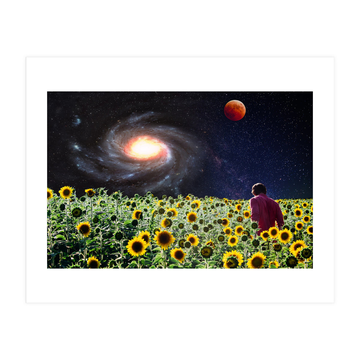 Likakiku  (Print Only)