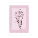 Magnolia Neutral Abstract Botanical (Print Only) thumbnail