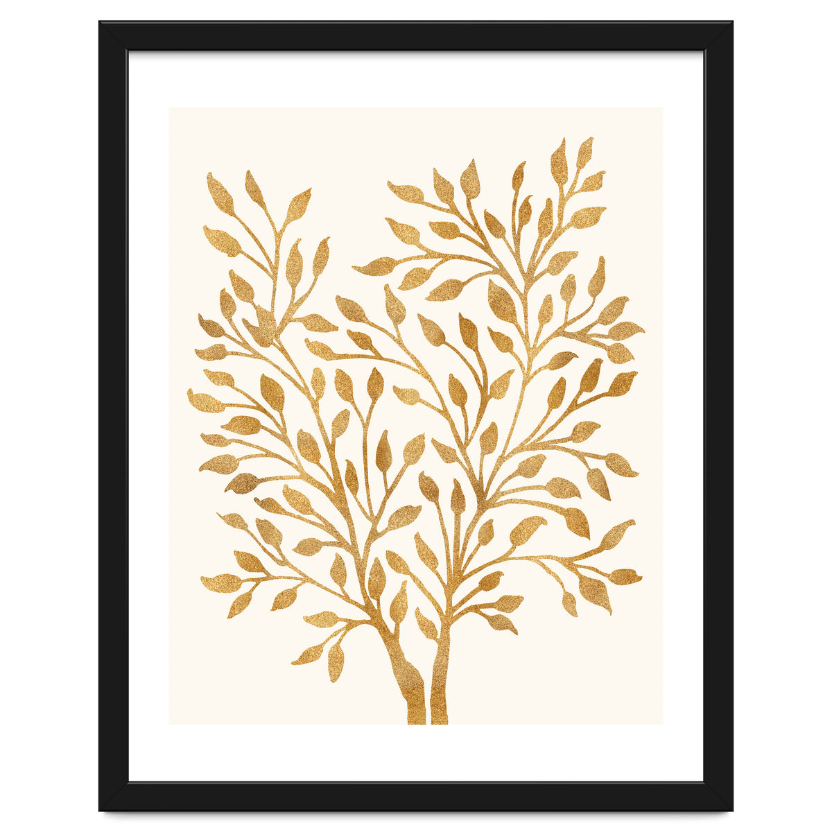 Golden Ficus 4x5