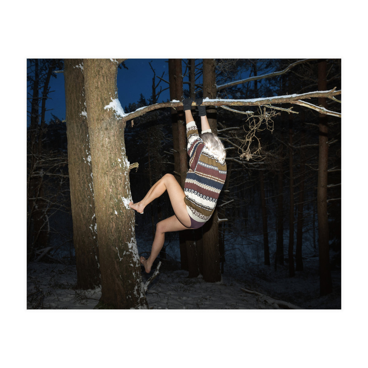 Arctic Monkey (Print Only)