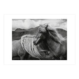Horses In The Sky (Print Only) thumbnail