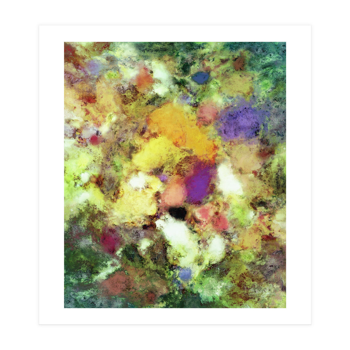 Forgotten Petals (Print Only)