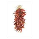 Chile Ristra (Print Only) thumbnail