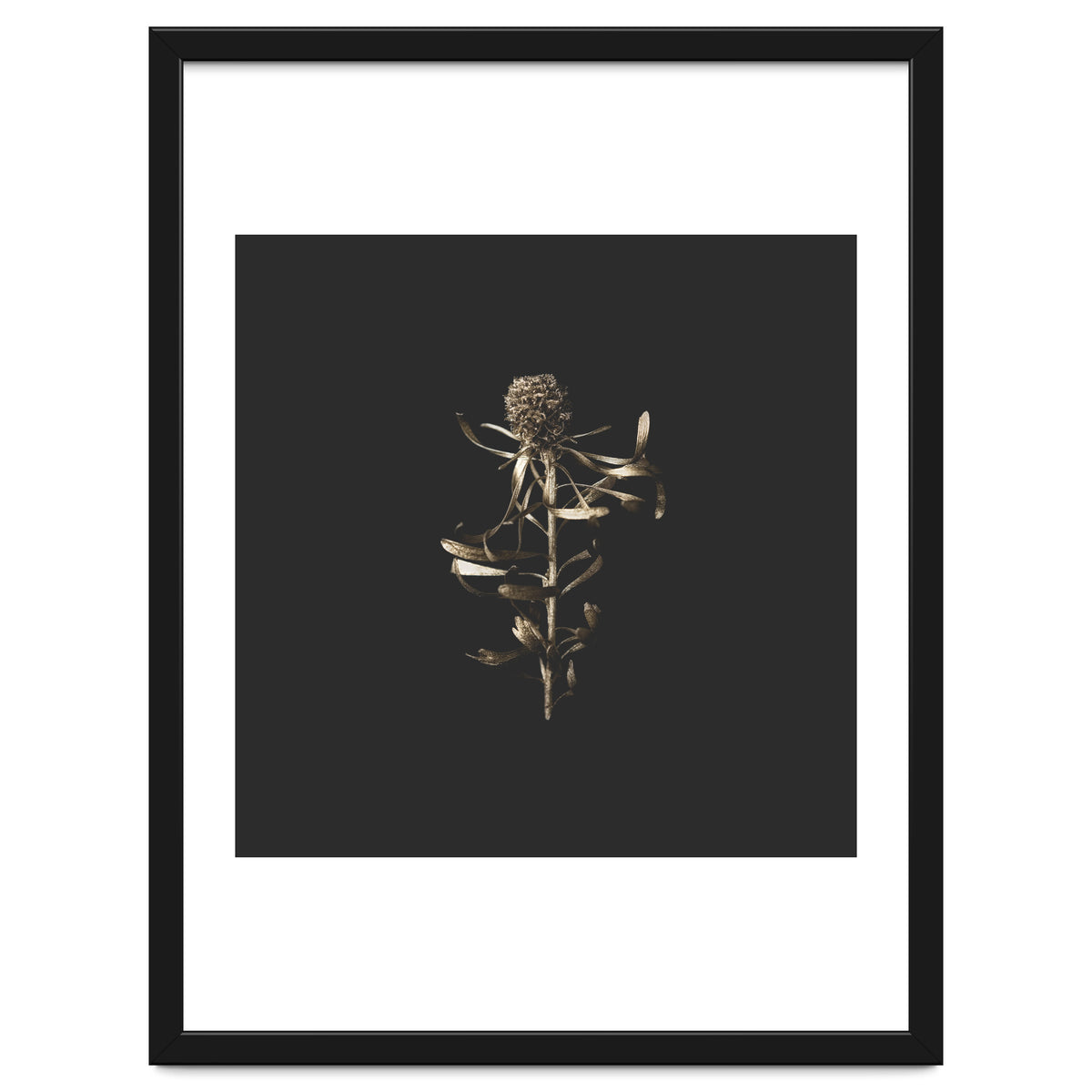 Golden Botanicals -  Square