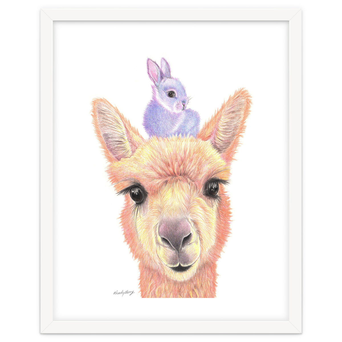 Alpaca and Bunny