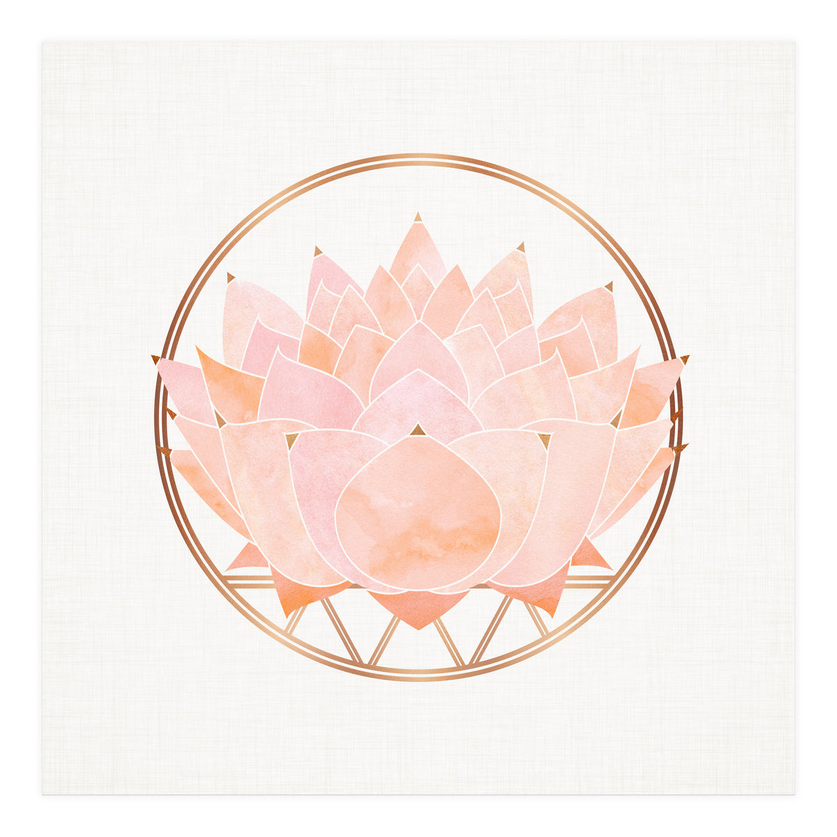 Peach Succulent  Blossom (Print Only)