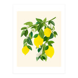 Sunny Lemons (Print Only) thumbnail