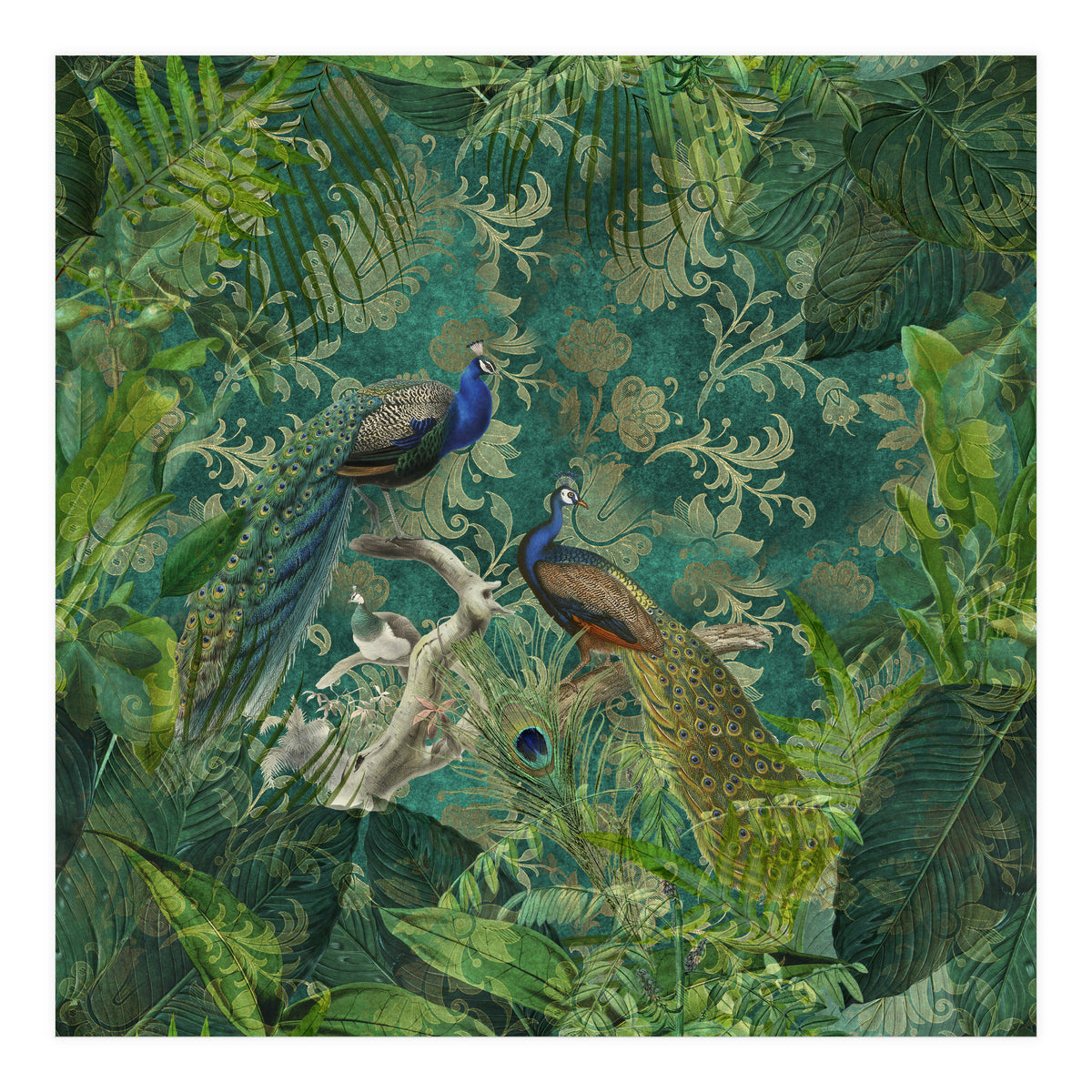 Mystic Peacocks (Print Only)