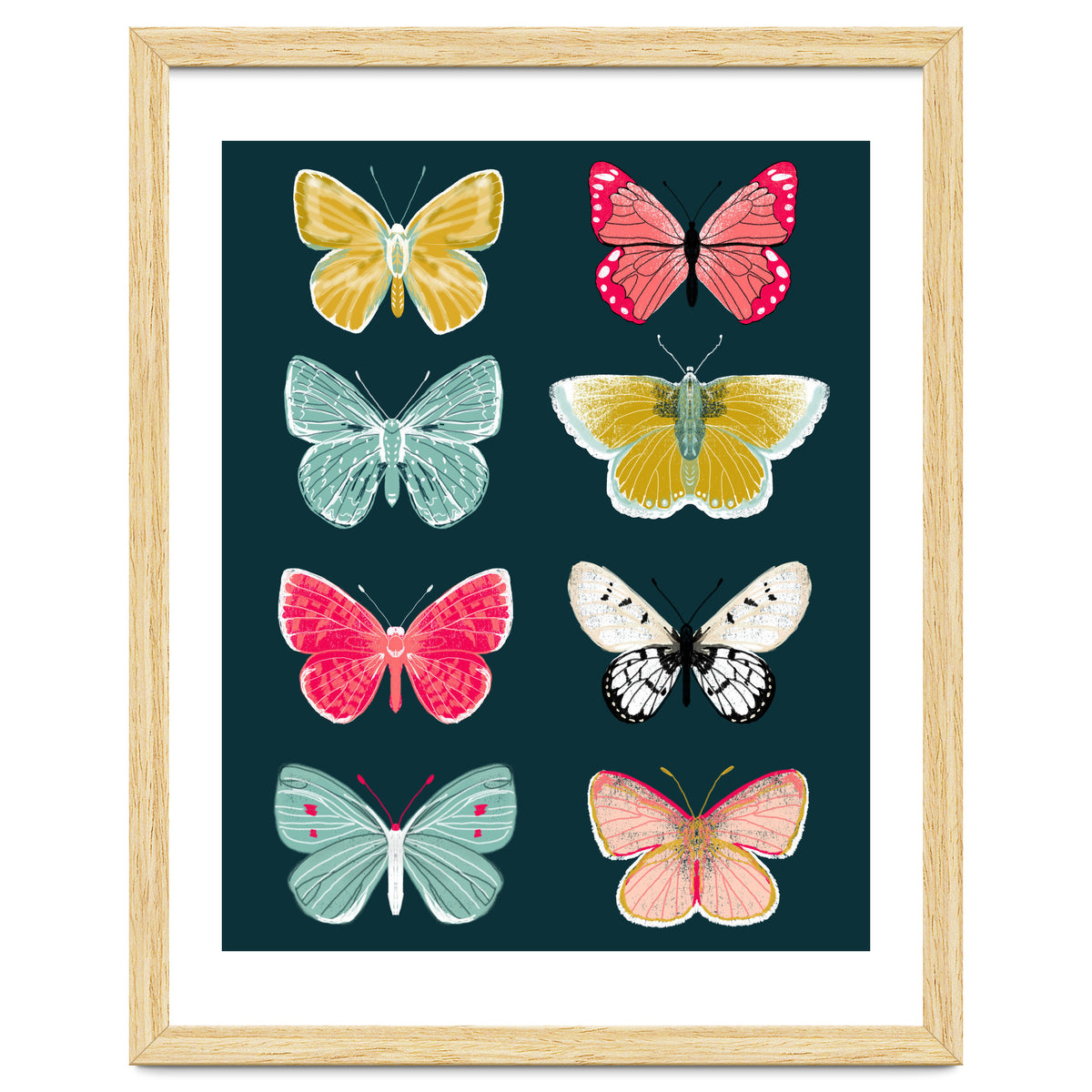 Lepidoptery Study No. 2
