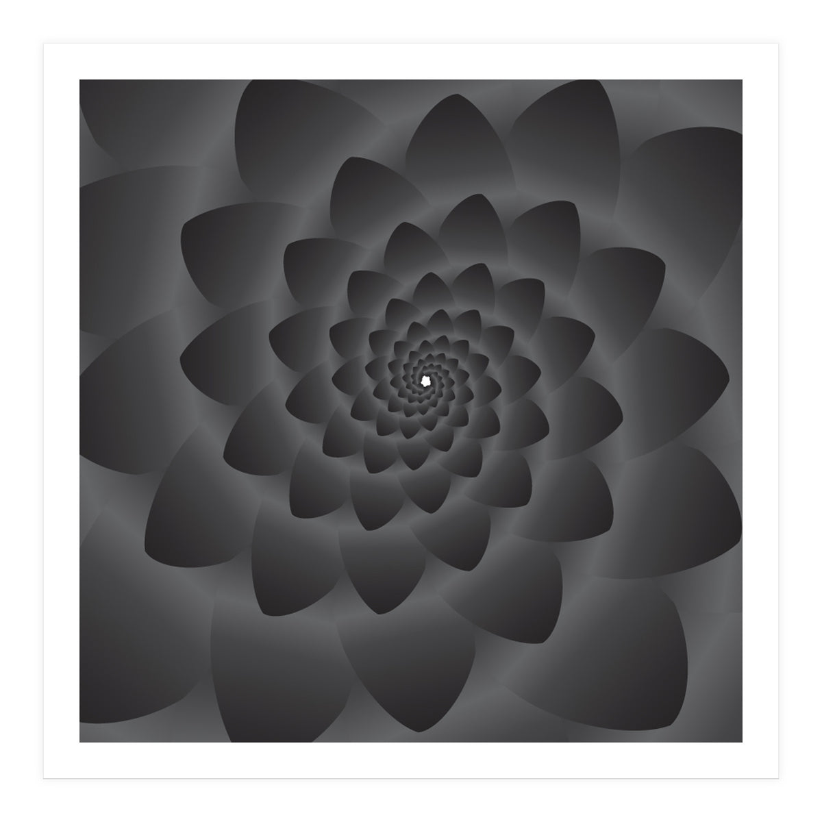 3 D Modern Black Floral (Print Only)