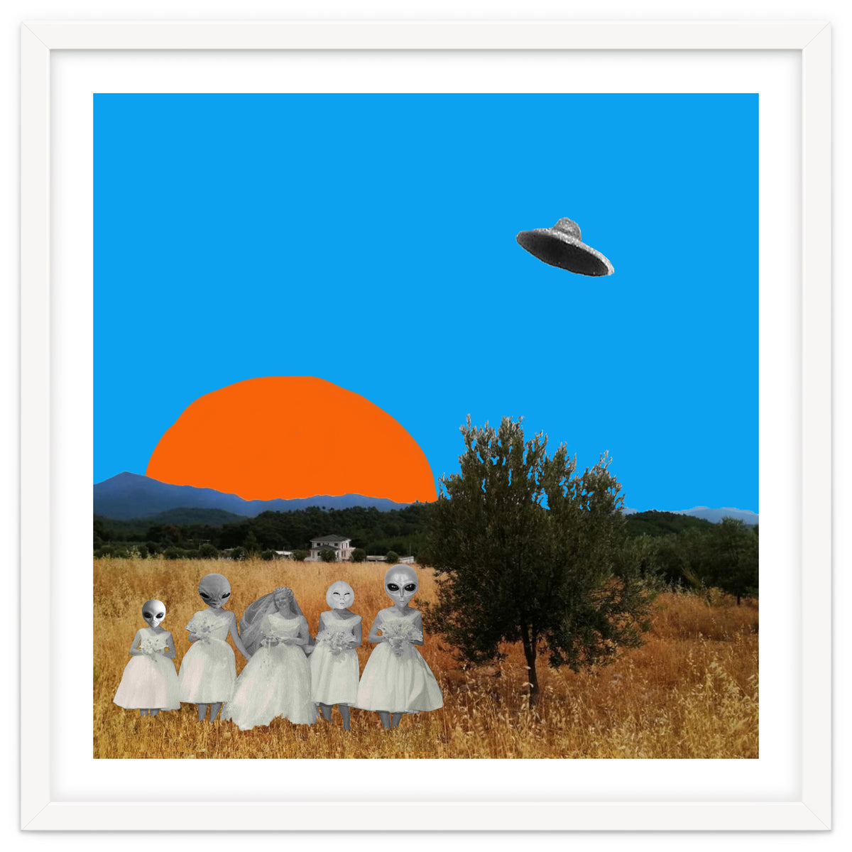 The Wedding Day - Collage