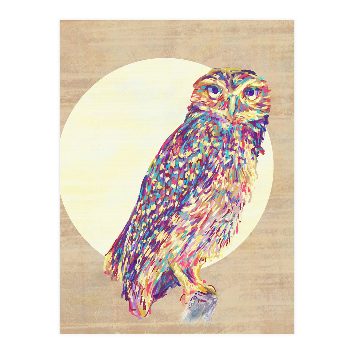 Owl (Print Only)