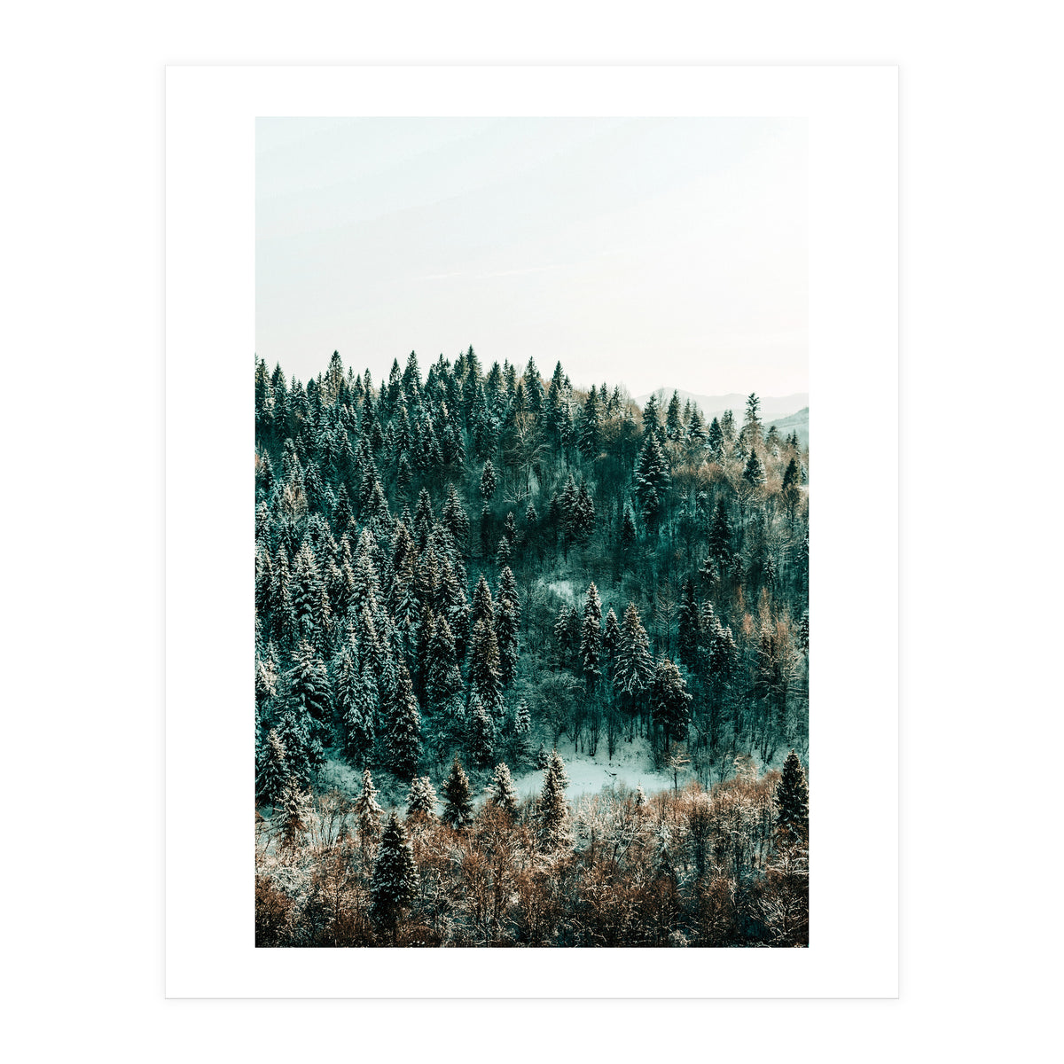 In The Wild (Print Only)