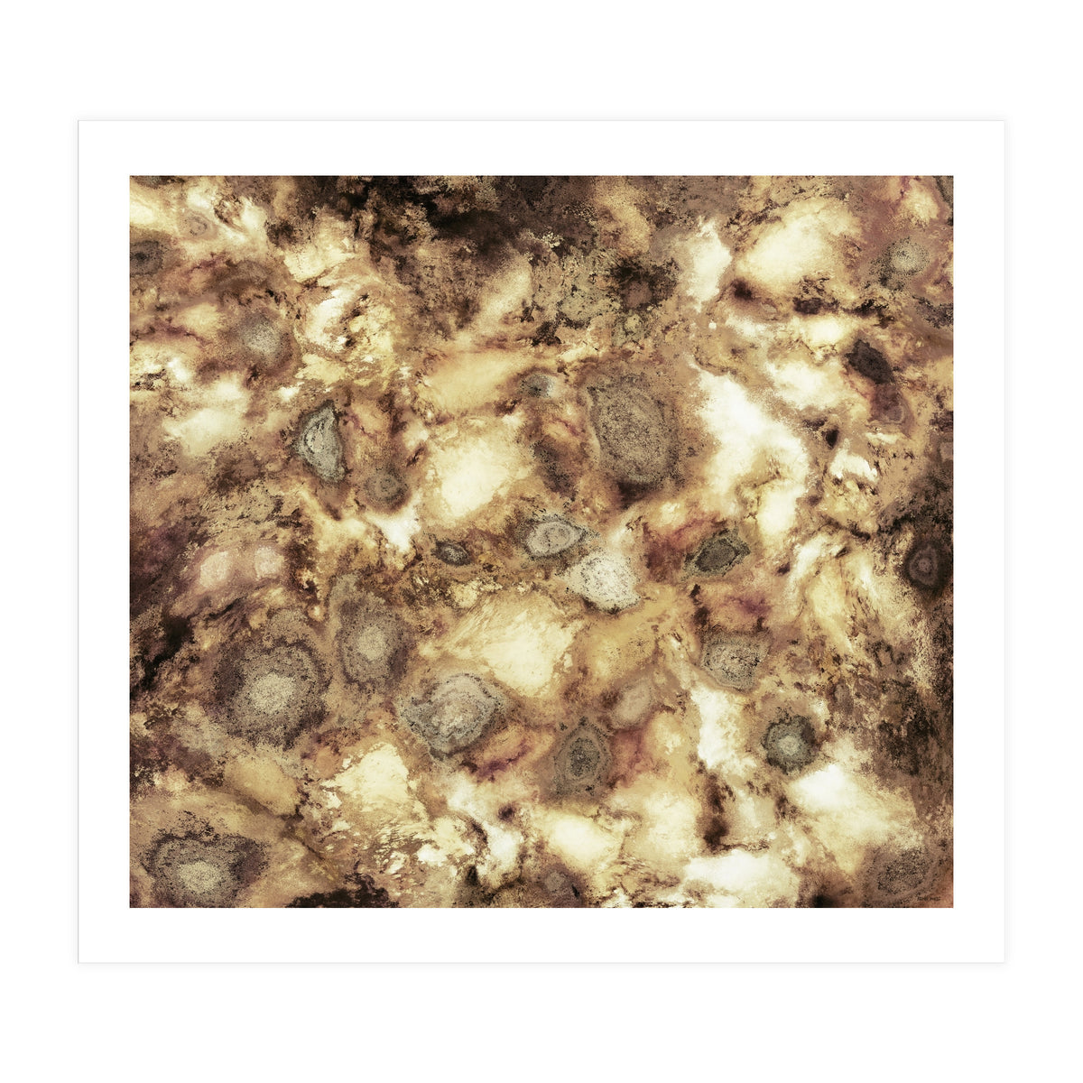 The Hard Crash (Print Only)