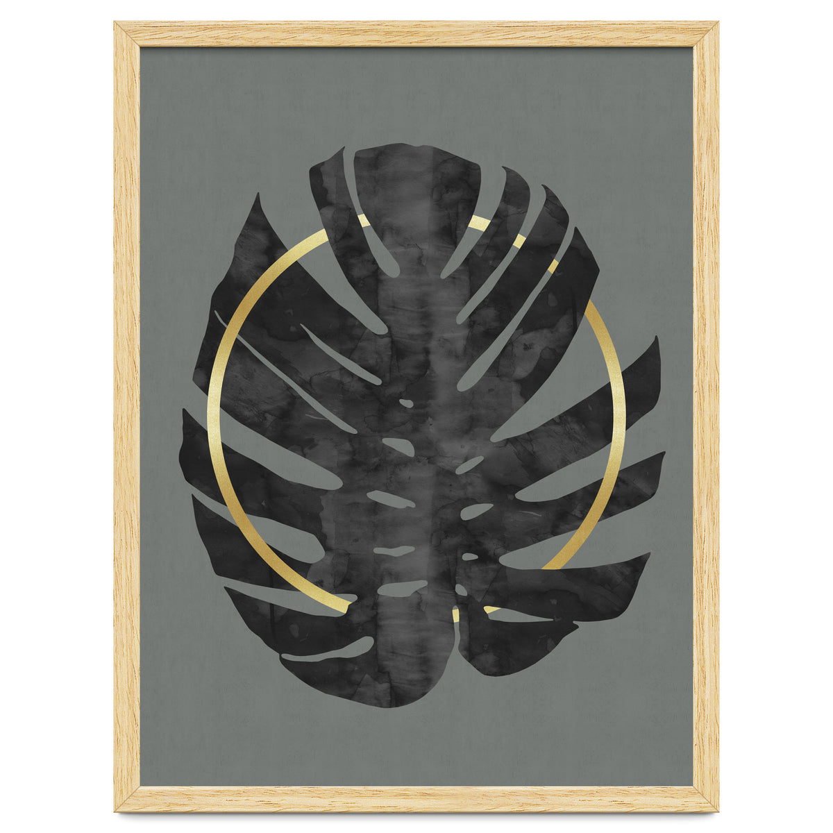 Monstera Deliciosa I