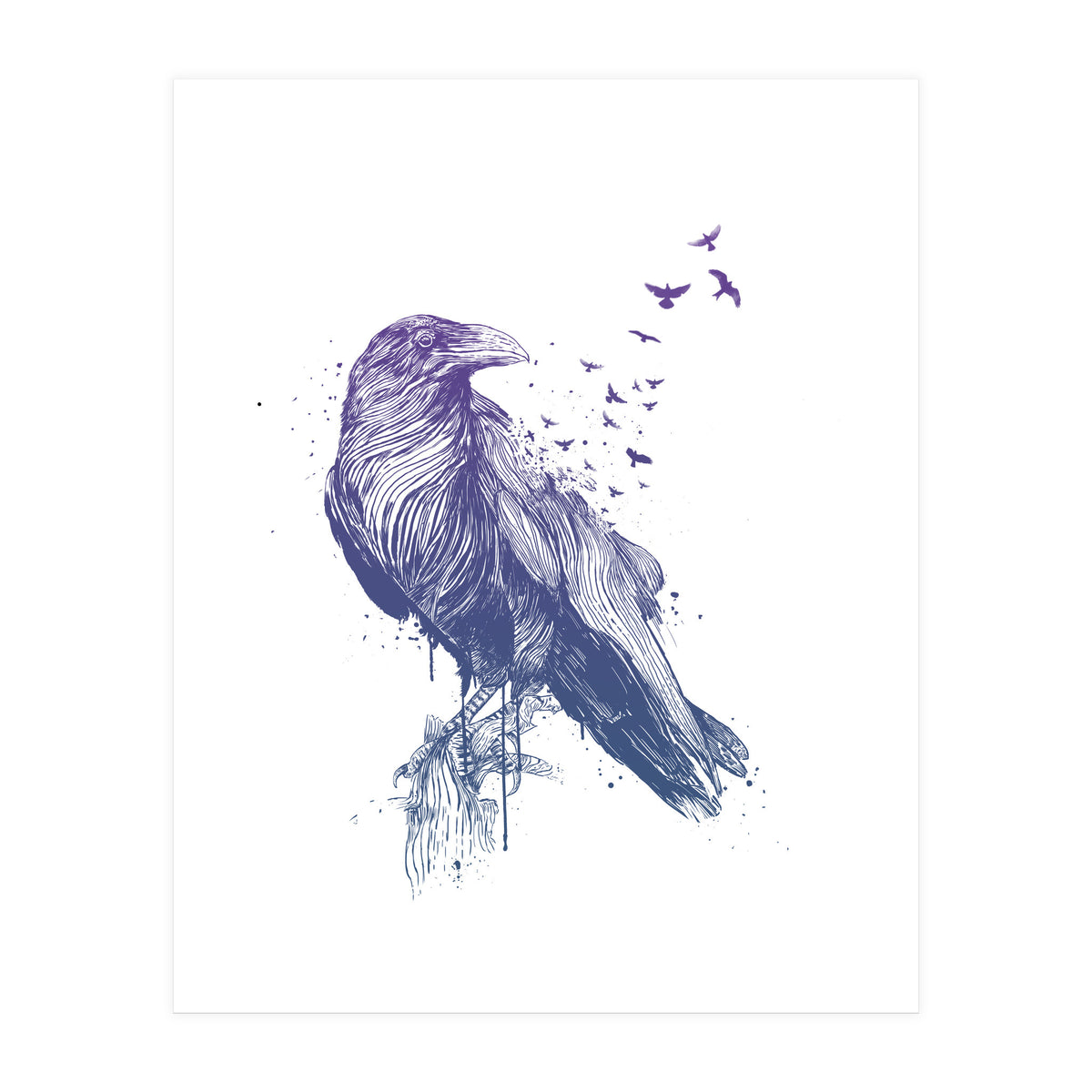 Born To Be Free (Print Only)