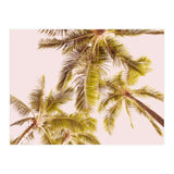 Blush Pink Boho Palm Trees (Print Only) thumbnail