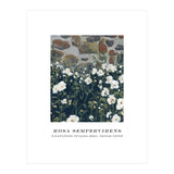 Rosa Sempervirens  (Print Only) thumbnail
