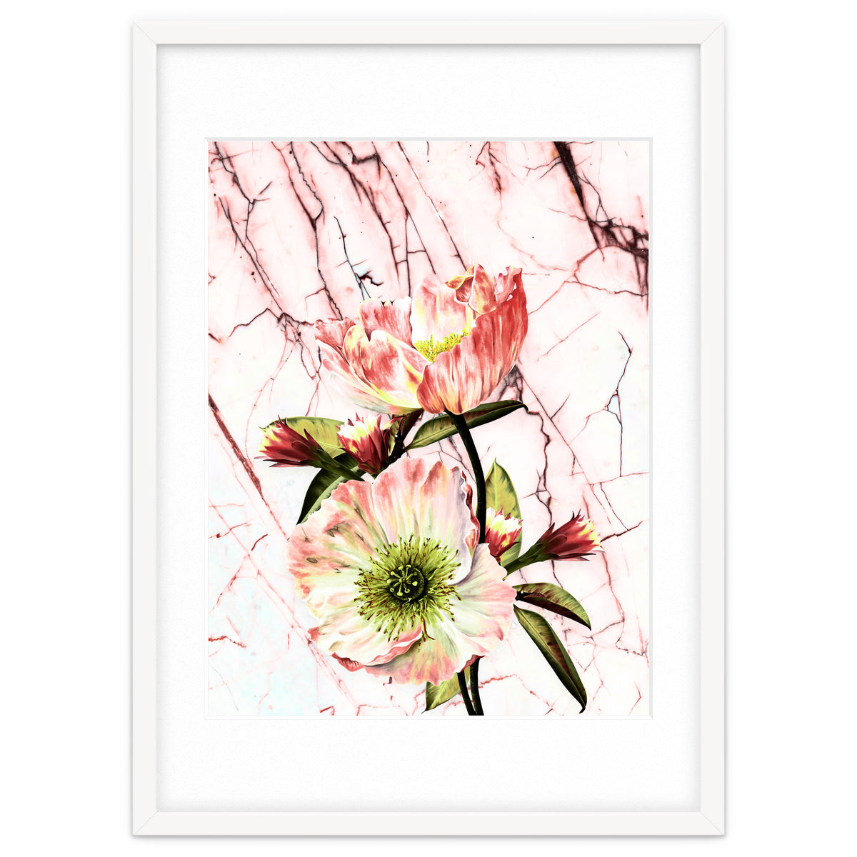 Flowering on pink marble