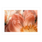 Coral Charm #1 (Print Only) thumbnail