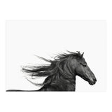 Dark Horse (Print Only) thumbnail