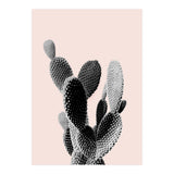 50 (Print Only) thumbnail