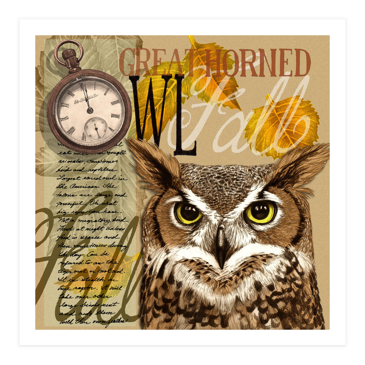 Great Horned Owl (Print Only)