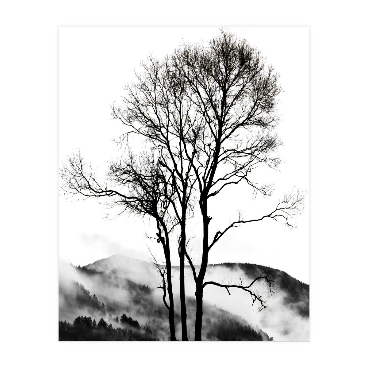 Rocky Mountains (Print Only)