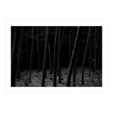 silent woods (Print Only) thumbnail