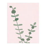 Modern Eucalyptus (Print Only) thumbnail