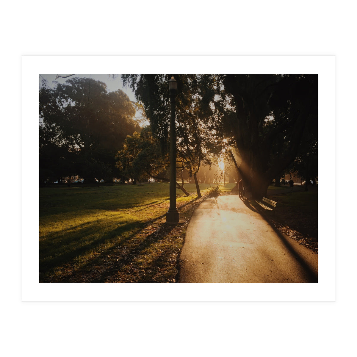 The Panhandle (Print Only)