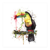 Toucan - Wildlife Collection (Print Only) thumbnail
